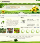 花卉租賃_網站模板_seo網站優化_網站建設案例